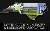 North Carolina Landscape