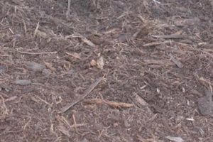 Read more about the article Hardwood Mulch