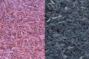 Read more about the article Red and Black Colored Mulches