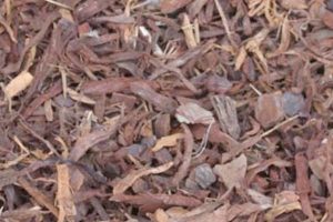 Read more about the article Shredded Pine Bark Mulch